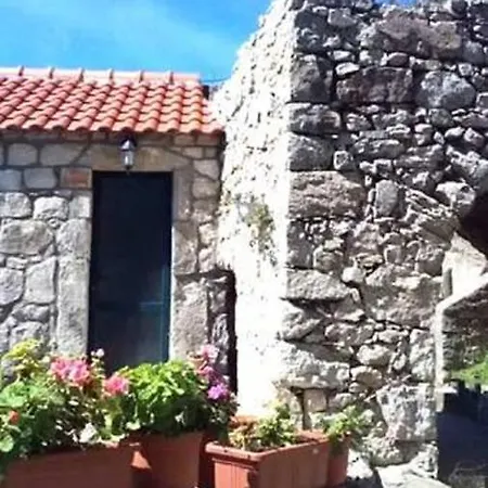 Melita Mljet * Babino Polje