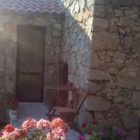 Melita Mljet *